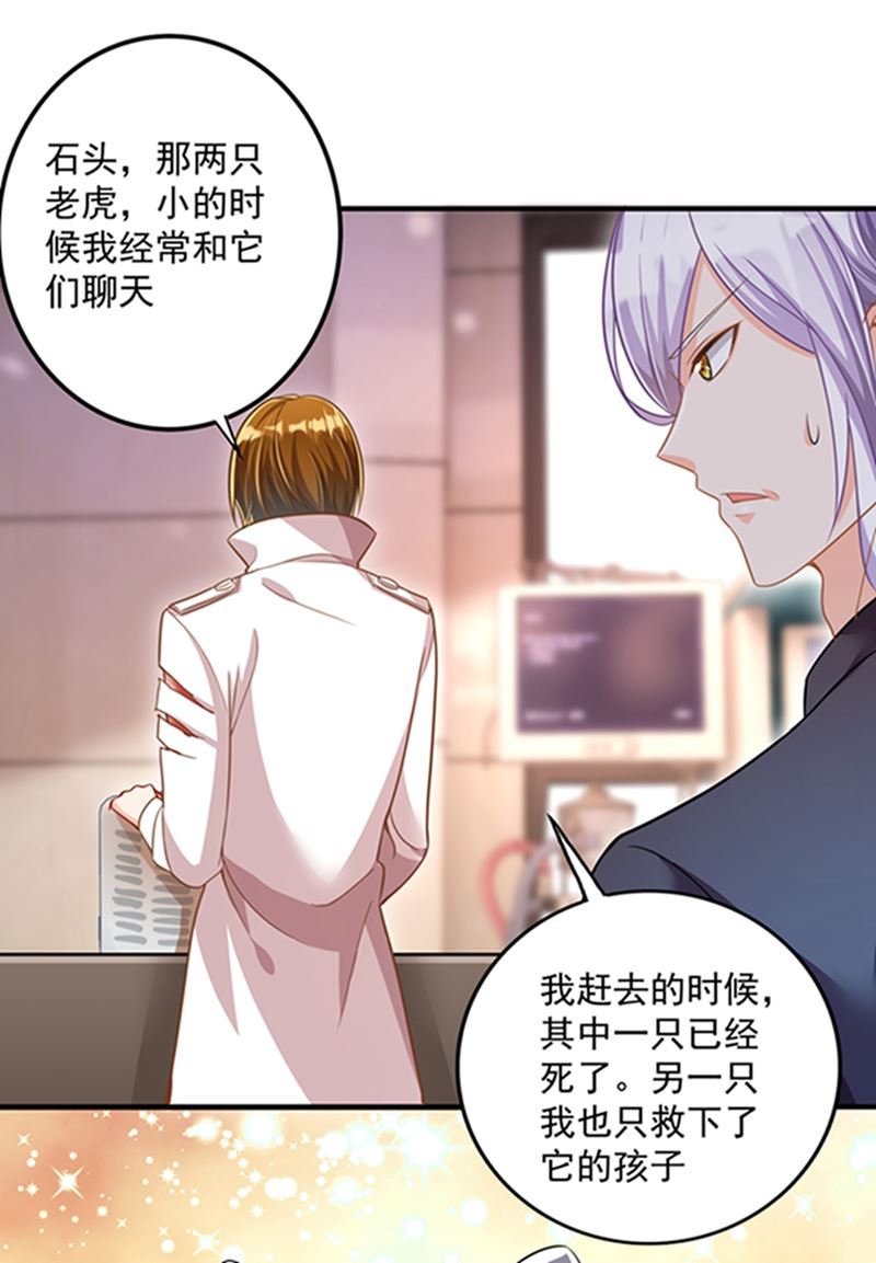 石头，一起回洛城好吗？48