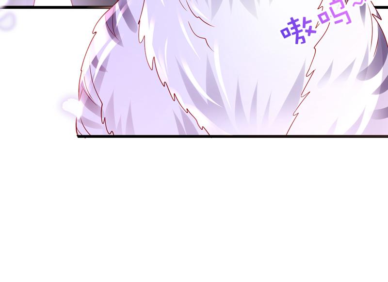 和我一起养大猫吧？67