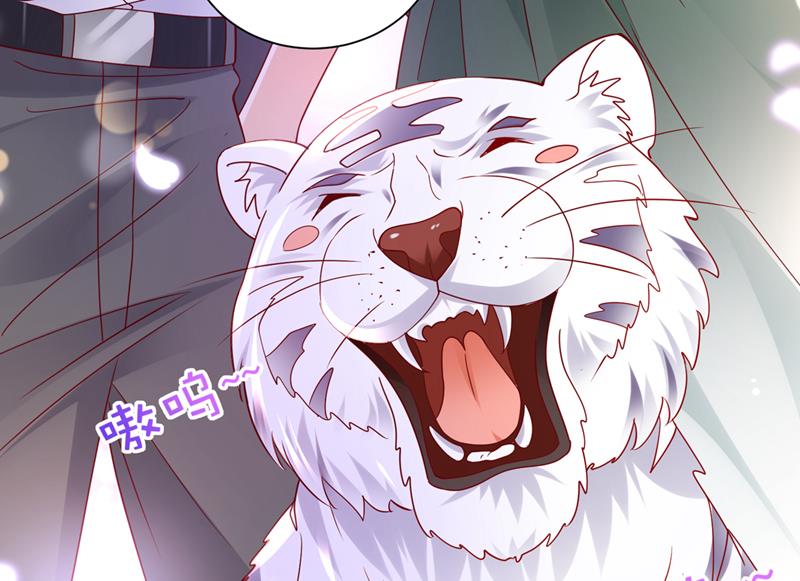 和我一起养大猫吧？66