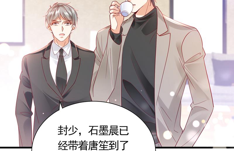 和我一起养大猫吧？70