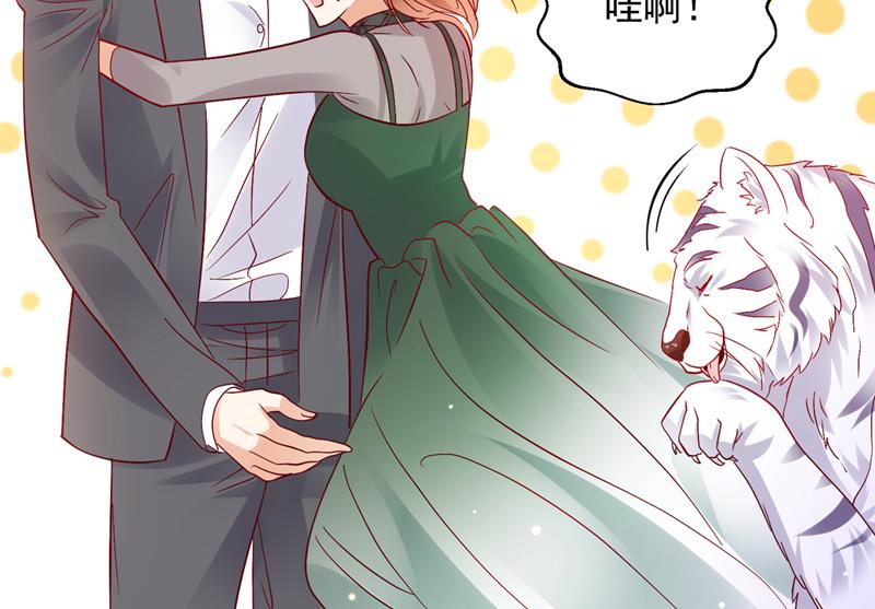 和我一起养大猫吧？19