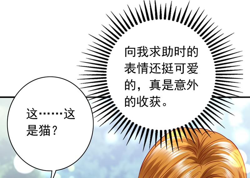 这是……大猫？！57