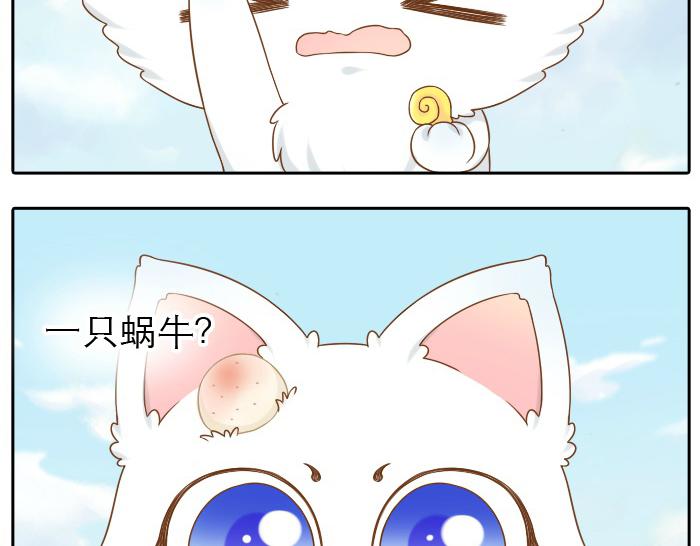 第12话 多日不见，小狐狸为何却跟踪小和尚？10