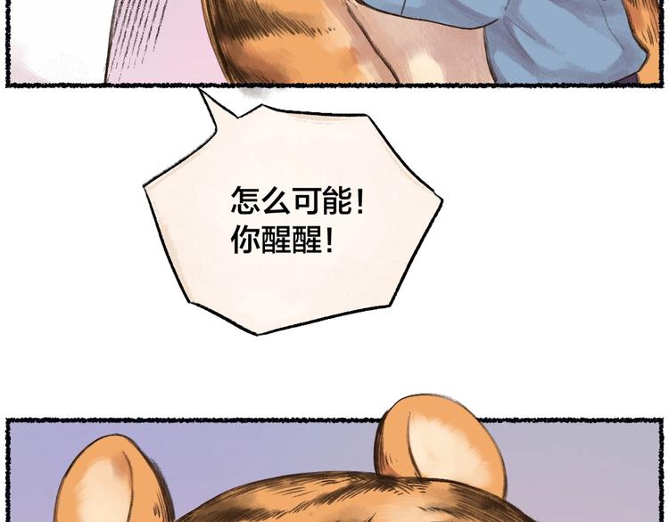 番外 猫容婆65