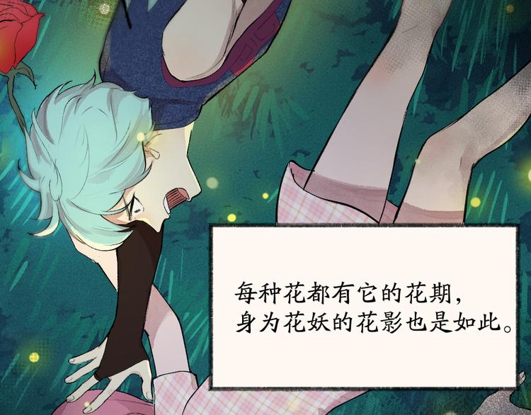 第110话 花影与流萤34