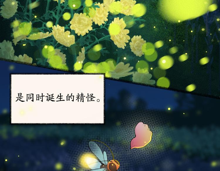 第110话 花影与流萤2