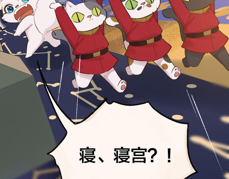 第72话 客官，吸喵吗？79