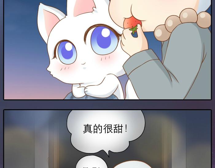 第14话 小和尚给的草莓都甜到心里去了呢~33