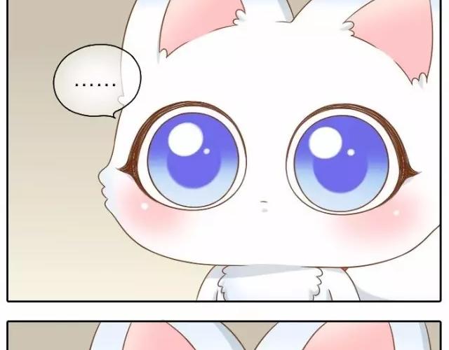第37话 我要做保护你的孙悟空20