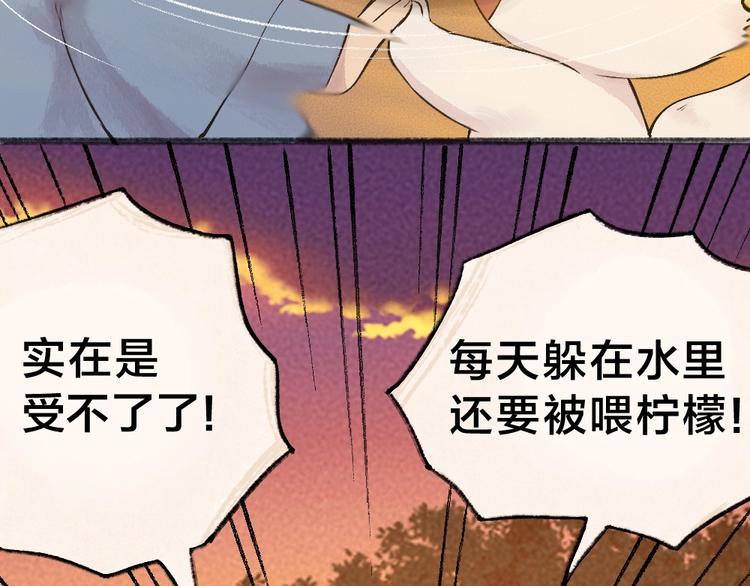 第38话 照片49