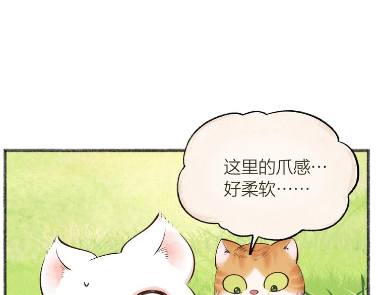 第72话 客官，吸喵吗？21