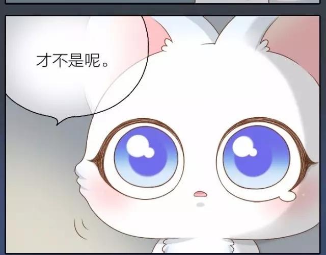 第40话 我只在乎你19