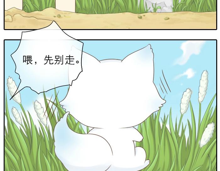 第2话 谁说狐狸不吃胡萝卜6