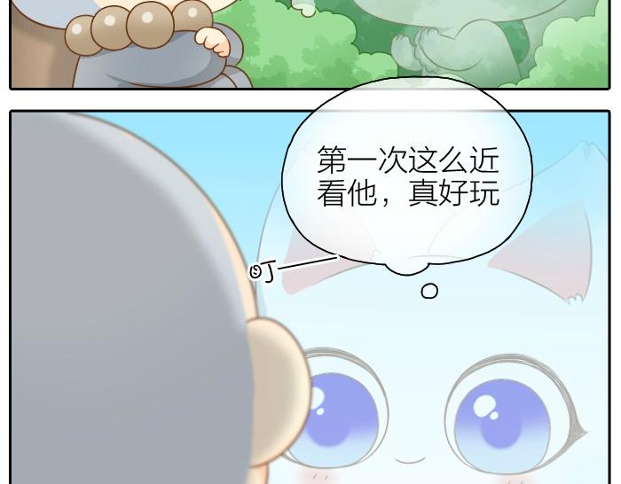 第47话 小狐狸失踪了21