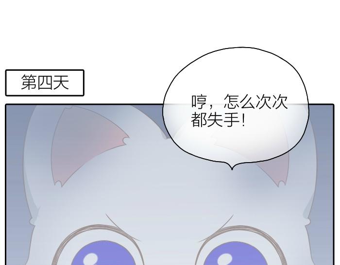 第47话 小狐狸失踪了16