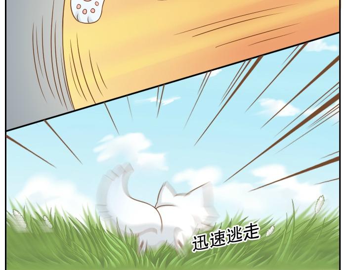 第9话 小和尚与小狐狸的前缘趣事儿22
