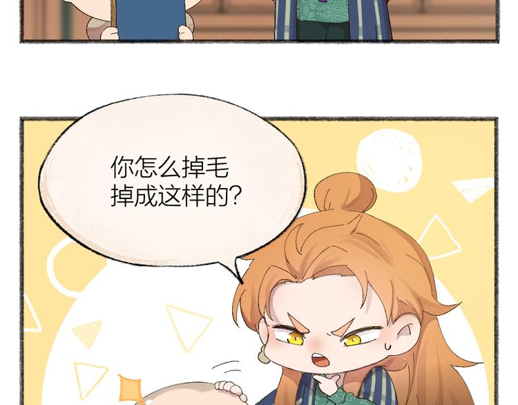 第106话 你怎么掉毛了？！37