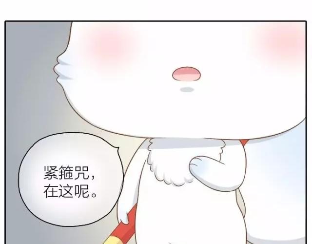 第37话 我要做保护你的孙悟空22