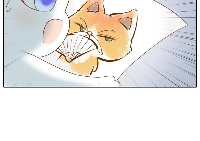 第59话 你终于来了14