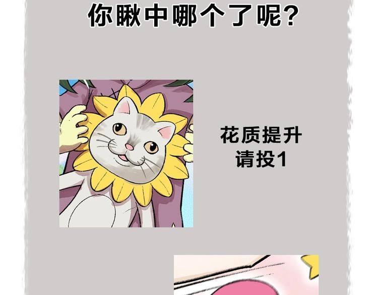第58话 扭蛋机88
