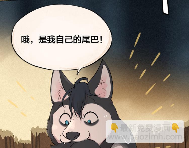 第74话 你是什么汪？82
