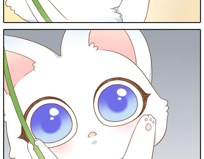 第43话 我不该和你走得这么近12