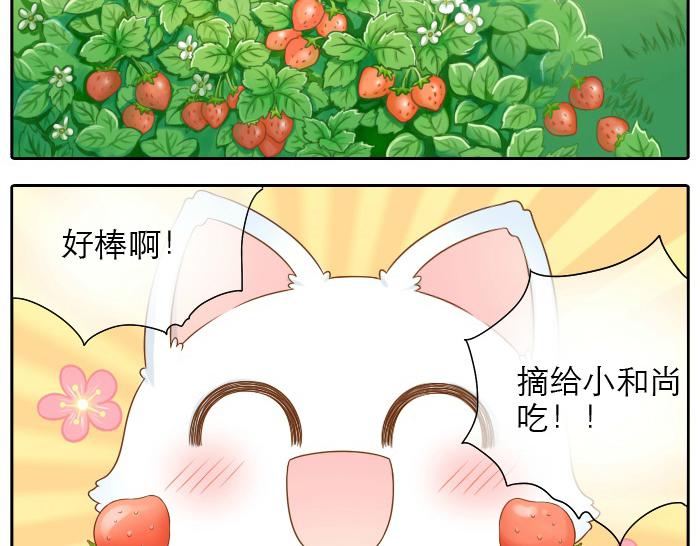 第14话 小和尚给的草莓都甜到心里去了呢~5