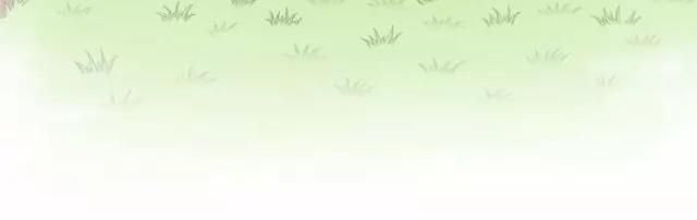 第37话 我要做保护你的孙悟空24