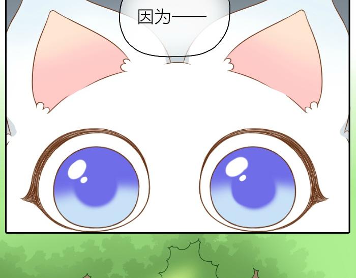 第47话 小狐狸失踪了27