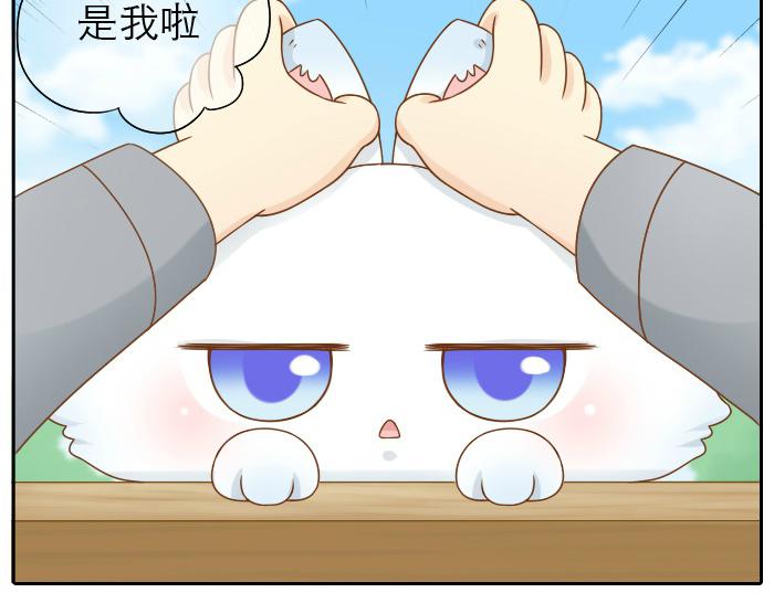 第16话 拨浪鼓带着小和尚与小狐狸穿越了！！！19
