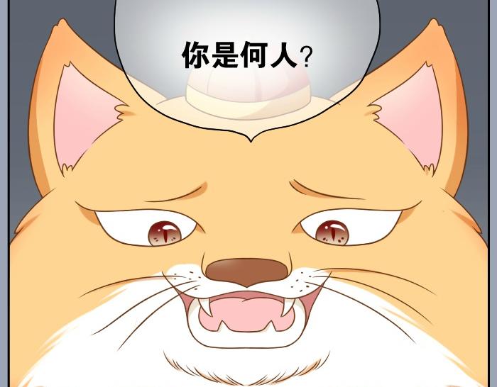 第18话 小和尚要去成亲了？！21
