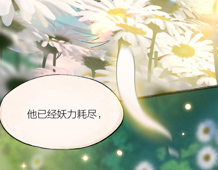 第110话 花影与流萤74