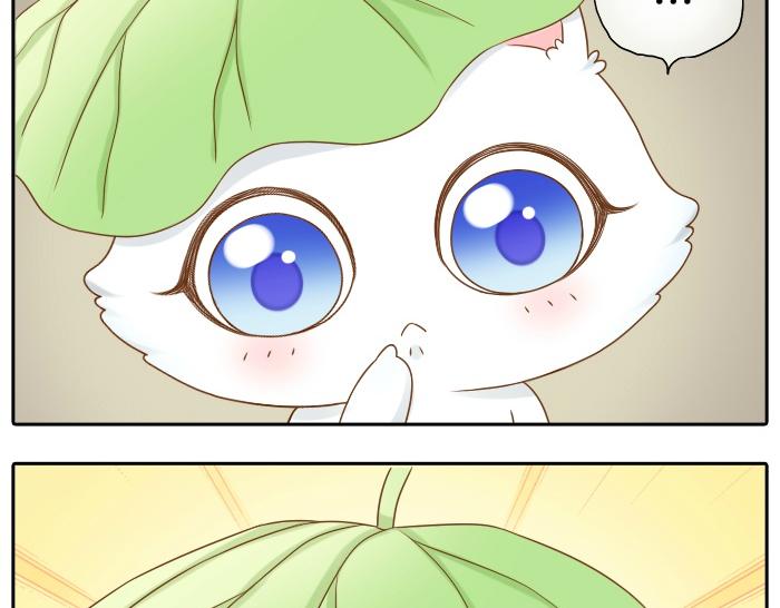 第12话 多日不见，小狐狸为何却跟踪小和尚？30