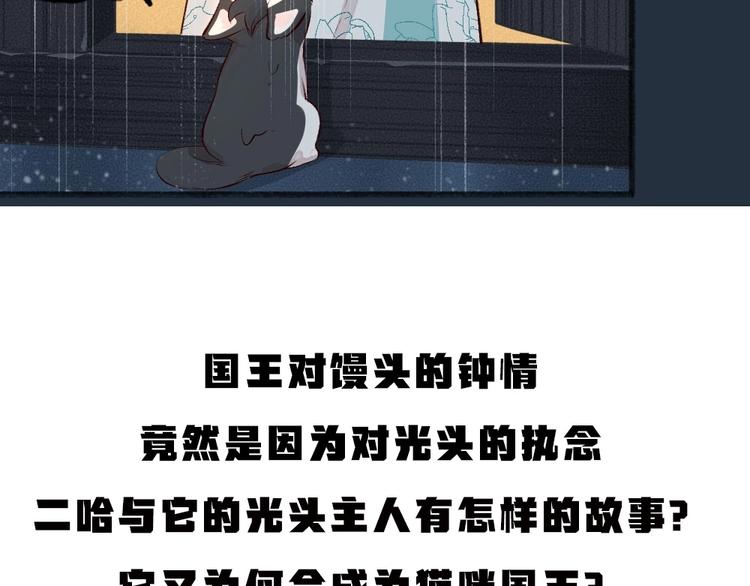第74话 你是什么汪？102