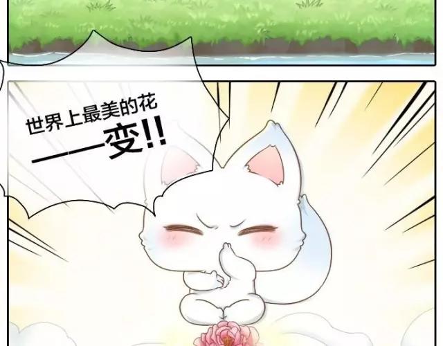 第38话 我要开始变身了6