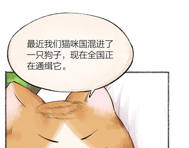 第72话 客官，吸喵吗？53