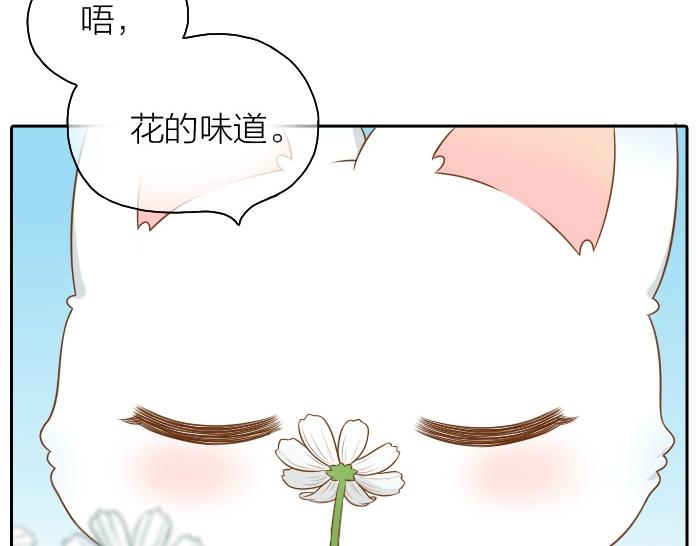 第43话 我不该和你走得这么近21