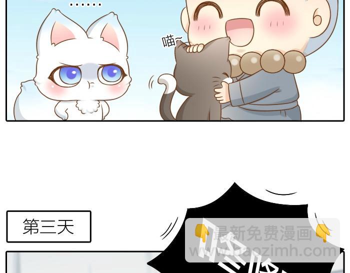 第46话 你是不是忘了什么事情？10