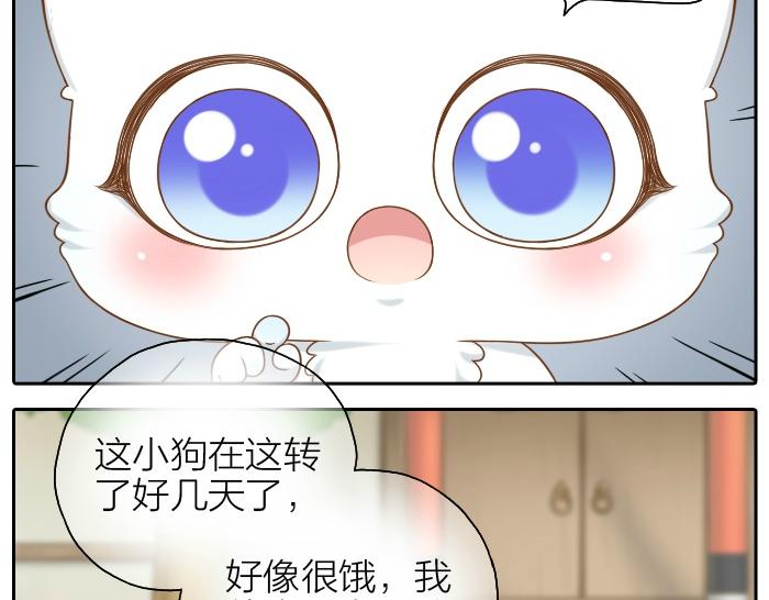 第46话 你是不是忘了什么事情？3