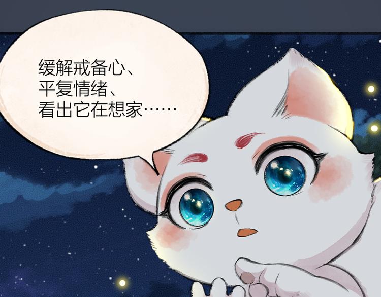 番外篇 捡到小动物＆打伞36