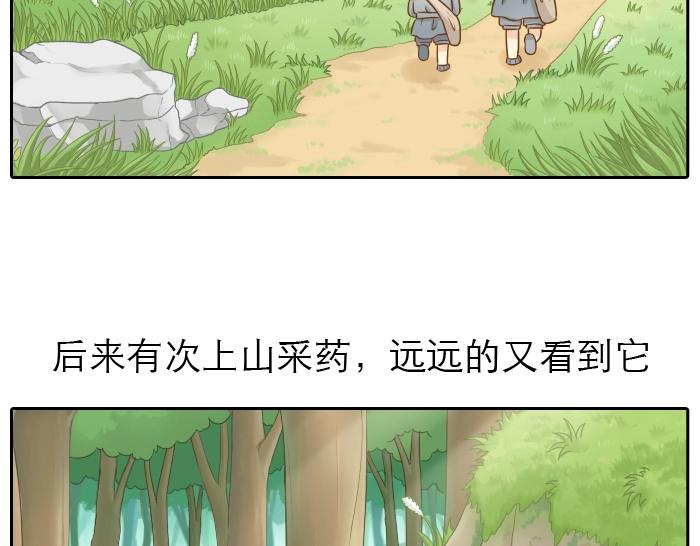 第9话 小和尚与小狐狸的前缘趣事儿4