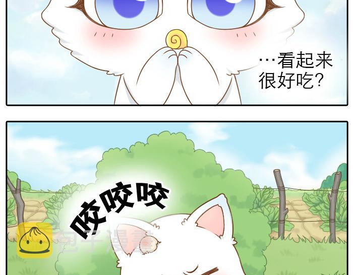 第12话 多日不见，小狐狸为何却跟踪小和尚？11