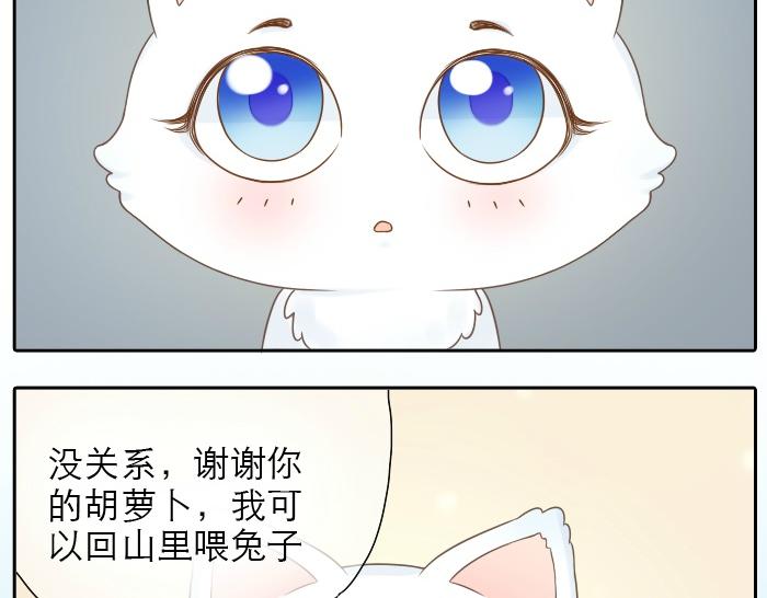 第2话 谁说狐狸不吃胡萝卜15