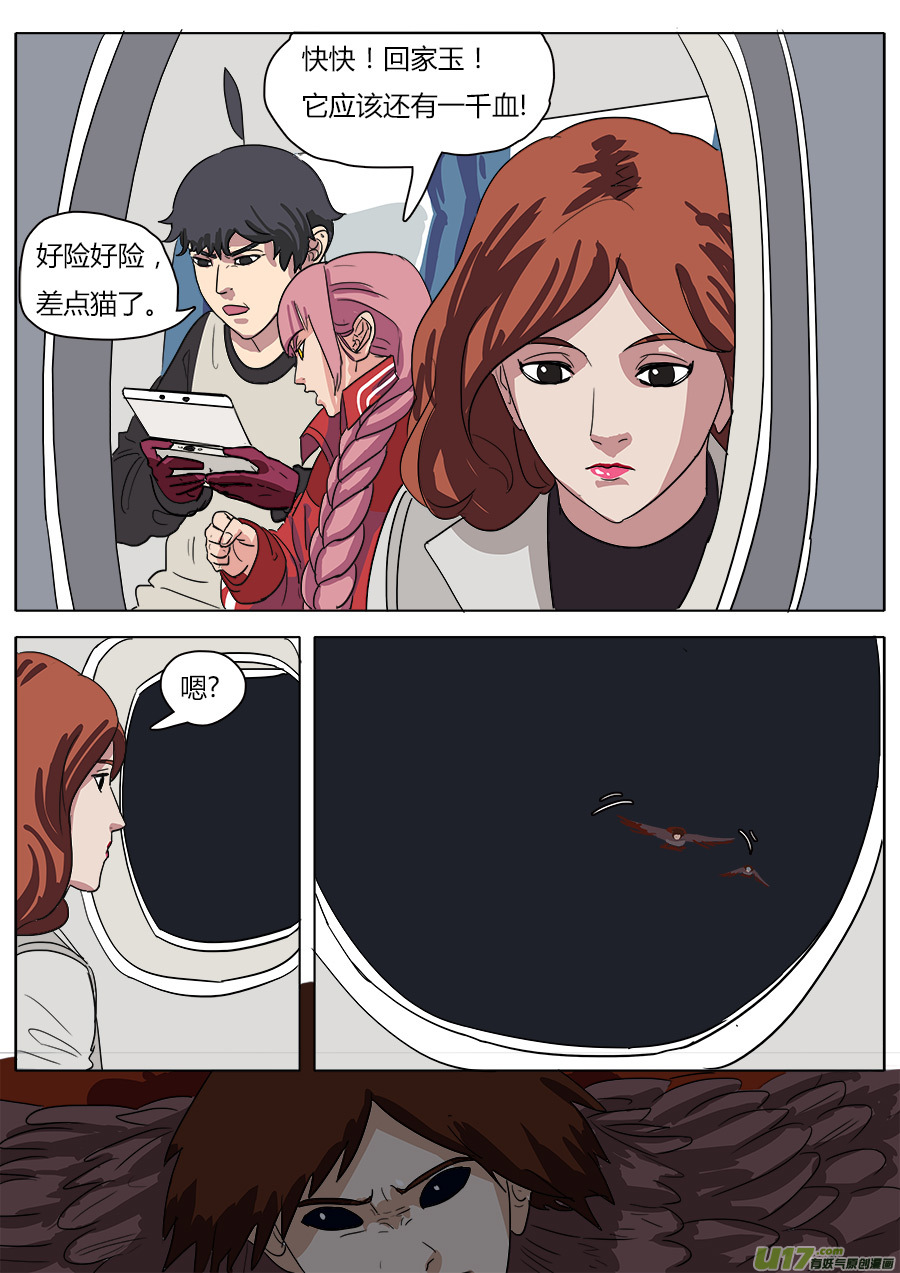 28.三只鸟6