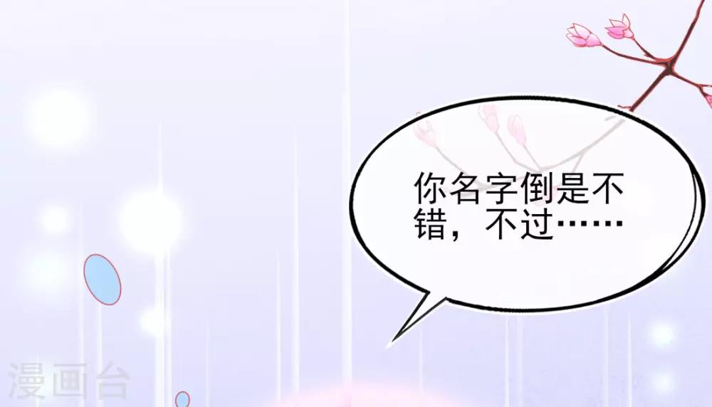 第19话 本总裁从不吃亏20