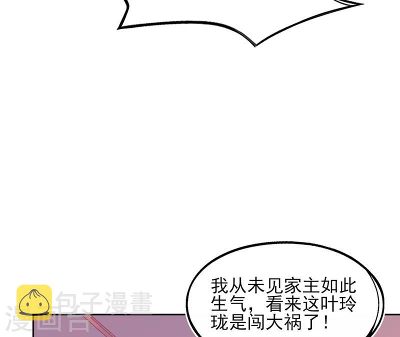 第5话 叶家主怒动家法48