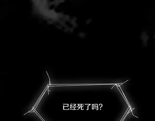 番外篇 小白回来了12