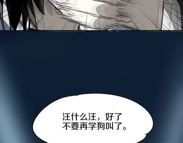 完结篇（上）  幻觉113
