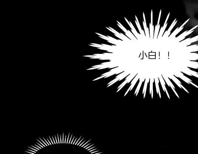 番外篇 小白回来了17