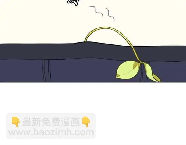 完结篇 一路陪伴199